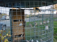 Speciální úpravy dřevníků