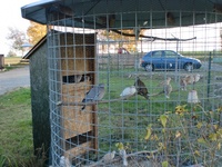 Speciální úpravy dřevníků